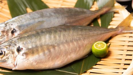 Le chinchard : petit poisson, grande saveur