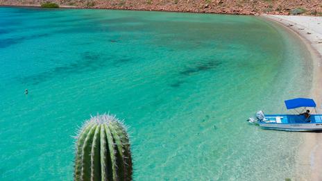 Mer de Cortés : d’Espíritu Santo à San José, la navigation la plus sauvage du Mexique