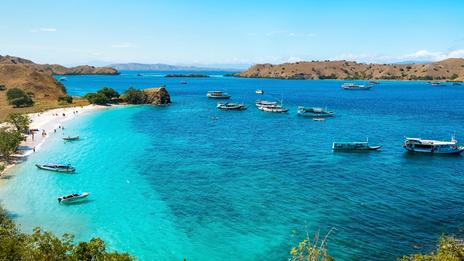 Indonésie orientale : entre volcans et récifs, la route de Sumbawa à Flores