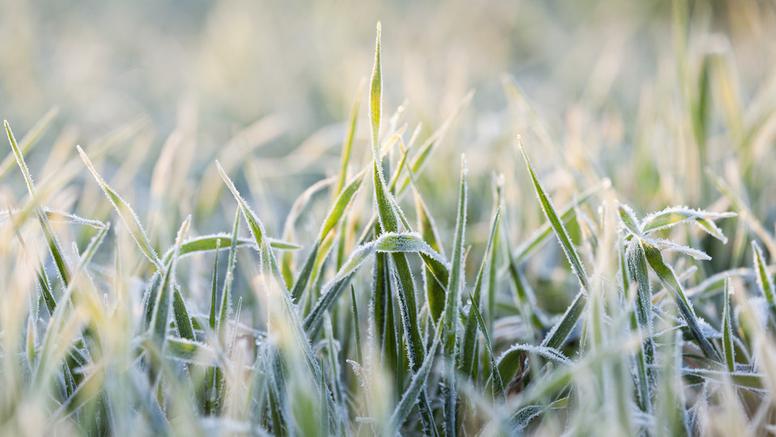 Gel : quelles sont les régions les plus exposées cette semaine ?