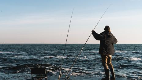 Merlan et tacaud : deux espèces accessibles qui animent les sorties hivernales