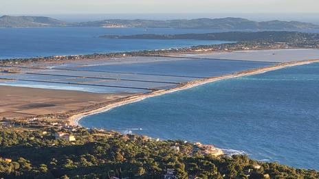 Le tombolo de Giens : paradis des oiseaux