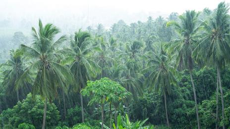 Inondations en Asie du Sud-Est : pourquoi pleut-il autant en ce moment ?