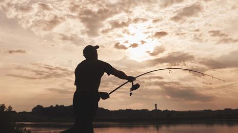 Tailles minimales de capture : le rappel indispensable avant les fêtes