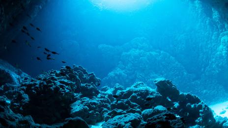 Les sons mystérieux que produisent les fonds marins