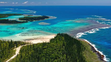 Nouvelle-Calédonie : au cœur des jardins de corail les plus fascinants du Pacifique