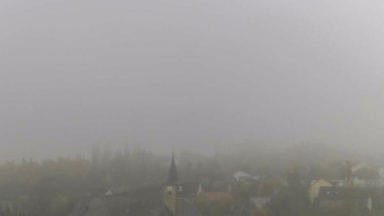 Changement de ressenti en France : du printemps en plein décembre à une ambiance automnale