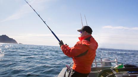 Hors saison, poissons d’exception : l’art de pêcher en hiver
