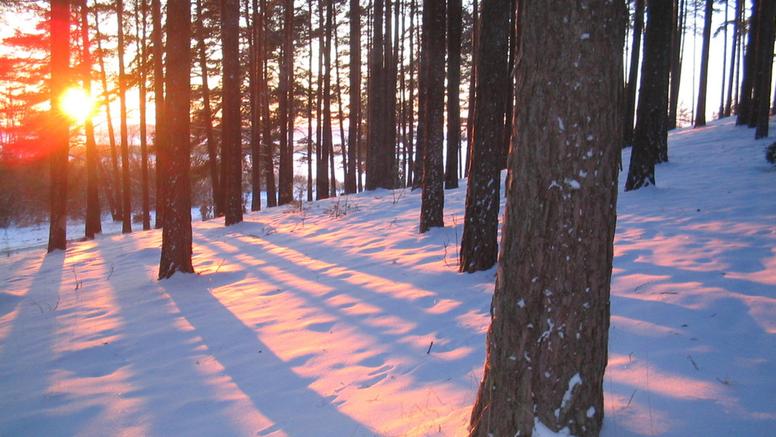 Chutes de neige : un Noël blanc est-il totalement écarté en plaine ?