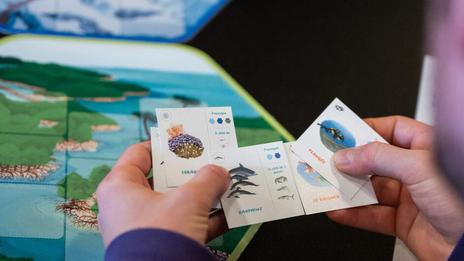 Un nouveau jeu de société alerte sur l’état de l’océan et le devenir de l’humanité