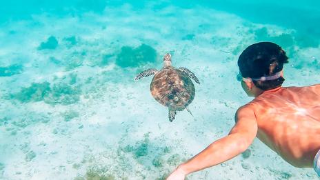 Les eaux cristallines des Philippines, immersion au cœur d’un archipel taillé pour la plongée