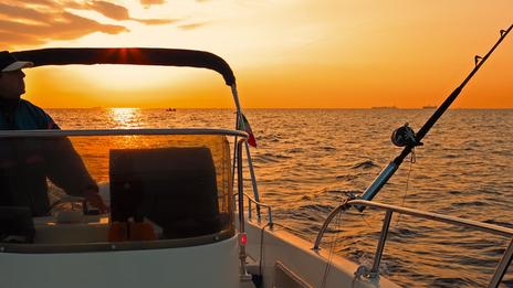 Pêche : cap sur 2026, une année charnière pour les filets et les lignes