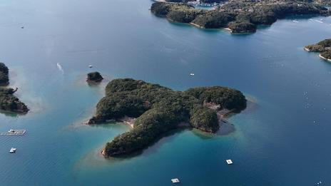 Écosystèmes et biodiversité marine : Ise-Shima, laboratoire de la mer vivante