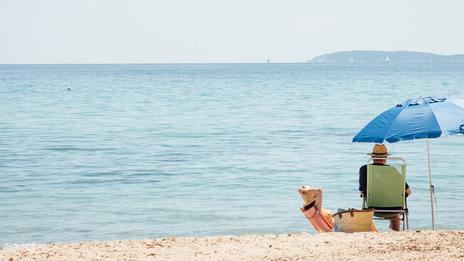 Rétrospective 2025 : les articles que vous avez le plus aimés !