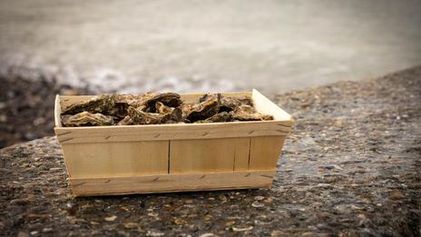 À la veille du réveillon, les huîtres et moules de l’étang de Thau brutalement retirées du marché