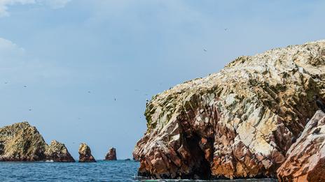 Les îles Ballestas, immersion spectaculaire au cœur du Pacifique péruvien