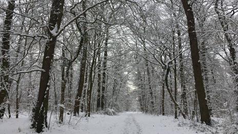 Neige : quels sont les jours les plus à risque cette semaine ?
