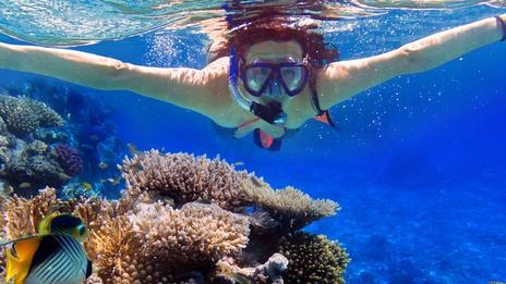 Les destinations de plongée idéales pour débuter et prendre confiance sous l’eau