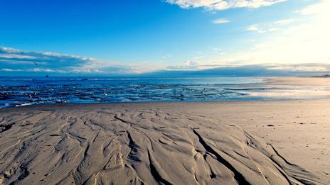 Mer du Nord et Baltique : 2025, année la plus chaude jamais mesurée