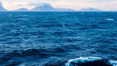 Un traité historique pour protéger la haute mer entre en vigueur en 2026