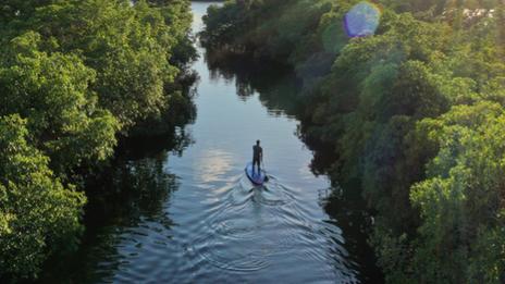 Activités nautiques dans les îles de Guadeloupe : entre exploration, sensations et nature préservée