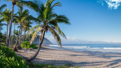 La Réunion, voyage au coeur de l'océan Indien