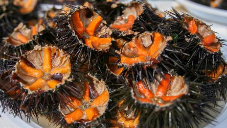 Fête de la Mer à Sausset les Pins 2026 dates programme et oursinade sur la Côte Bleue