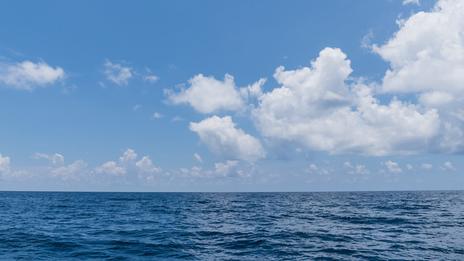 Traité sur la haute mer : un accord historique entre en vigueur pour protéger 60 % de l’Océan mondial