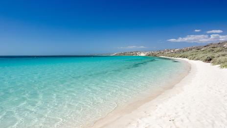 Australie: appel à éviter les plages dans l'est après des attaques de requins