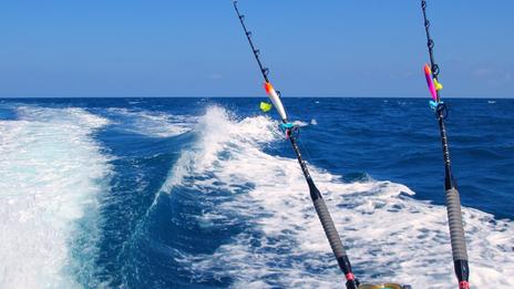 Pêcher à la canne ou au filet depuis votre bateau : quelle méthode choisir en mer ?