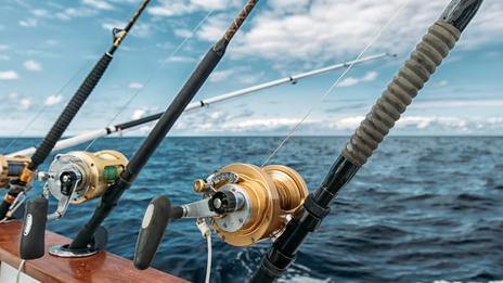 Pêche en eau froide : techniques, espèces et réalités d’une pratique exigeante