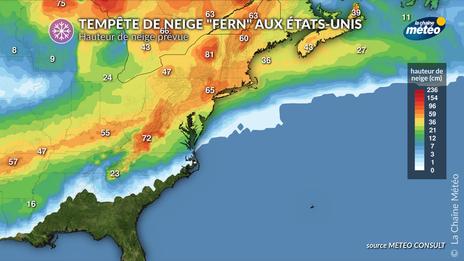 Tempête hivernale « Fern » : un épisode majeur de neige, verglas et froid polaire sur les États-Unis