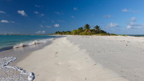 Barbuda, une destination 100 % nature