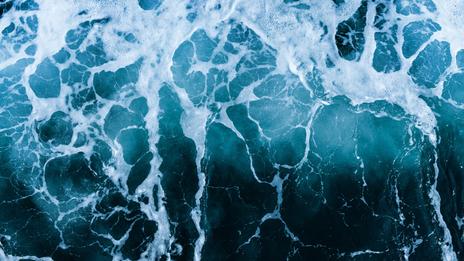 Quand l’océan s’assombrit : ces vagues invisibles capables de plonger la mer dans le noir pendant des mois