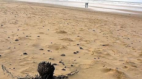 Mazout et épaves : comment les tempêtes hivernales réactivent la pollution sur l’Atlantique