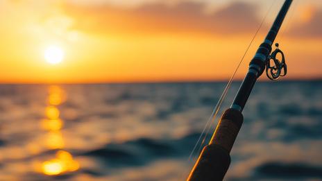 Pêche au coup : l’art de séduire le poisson sur place