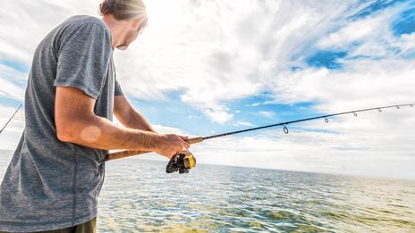 Pêche de la daurade : techniques, saisons et conseils
