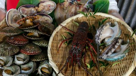 Gastronomie marine : les saveurs d’Ise-Shima, du large à la table