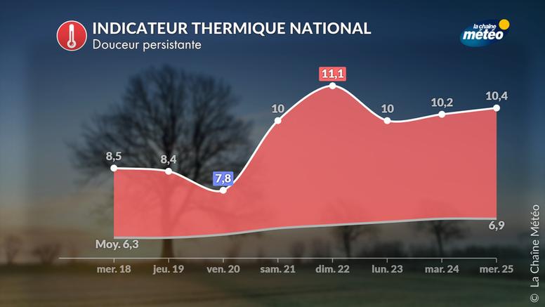 Douceur persistante : février se déroule sans véritable froid en France