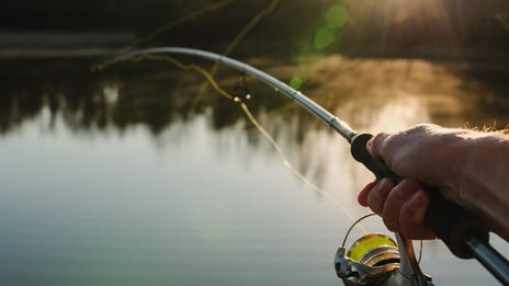 Pêche au bar à l’ouverture : bien choisir ses leurres souples pour démarrer la saison