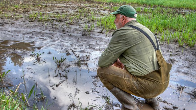 Tempêtes, inondations, crues, avalanches : une situation météo hors norme qui met l'économie sous pression