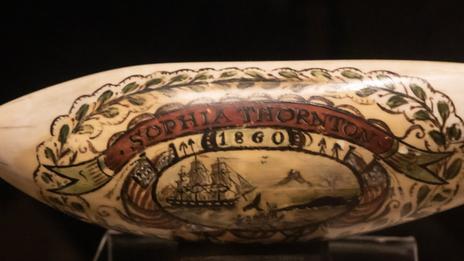 L’art du scrimshaw : quand les baleiniers gravaient leurs souvenirs sur l’ivoire de mer