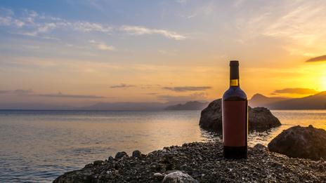 Vins de bord de mer : l’Albariño de Galice, le Vermentino de Corse et les cépages marins qui montent en 2026
