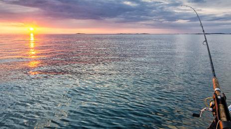 Tenya, Madai, Inchiku : 3 techniques japonaises redoutables pour la pêche en mer