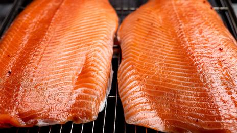 Cuisine de bord : 3 techniques pour fumer son poisson fraîchement pêché sur son bateau