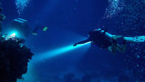 Blackwater dives : l’expérience mystique de la plongée de nuit en plein océan