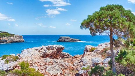 Une cité romaine oubliée refait surface après deux millénaires sur cette île des Baléares