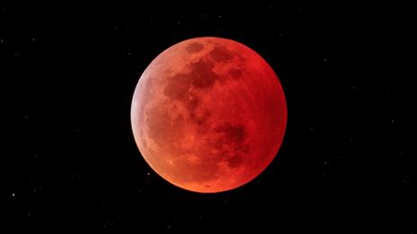 La Lune des Vers 2026 : pleine lune de mars et éclipse totale pour le début du printemps météorologique