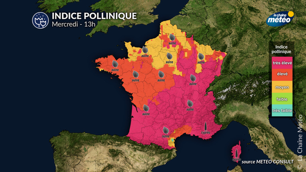 Risque pollinique pour ce mercredi Pollens Et Allergies