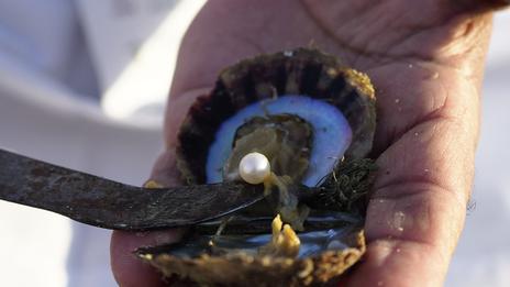 Histoire maritime : le secret des pêcheurs de perles, 2 000 ans d’apnée, de commerce et de fortunes englouties
